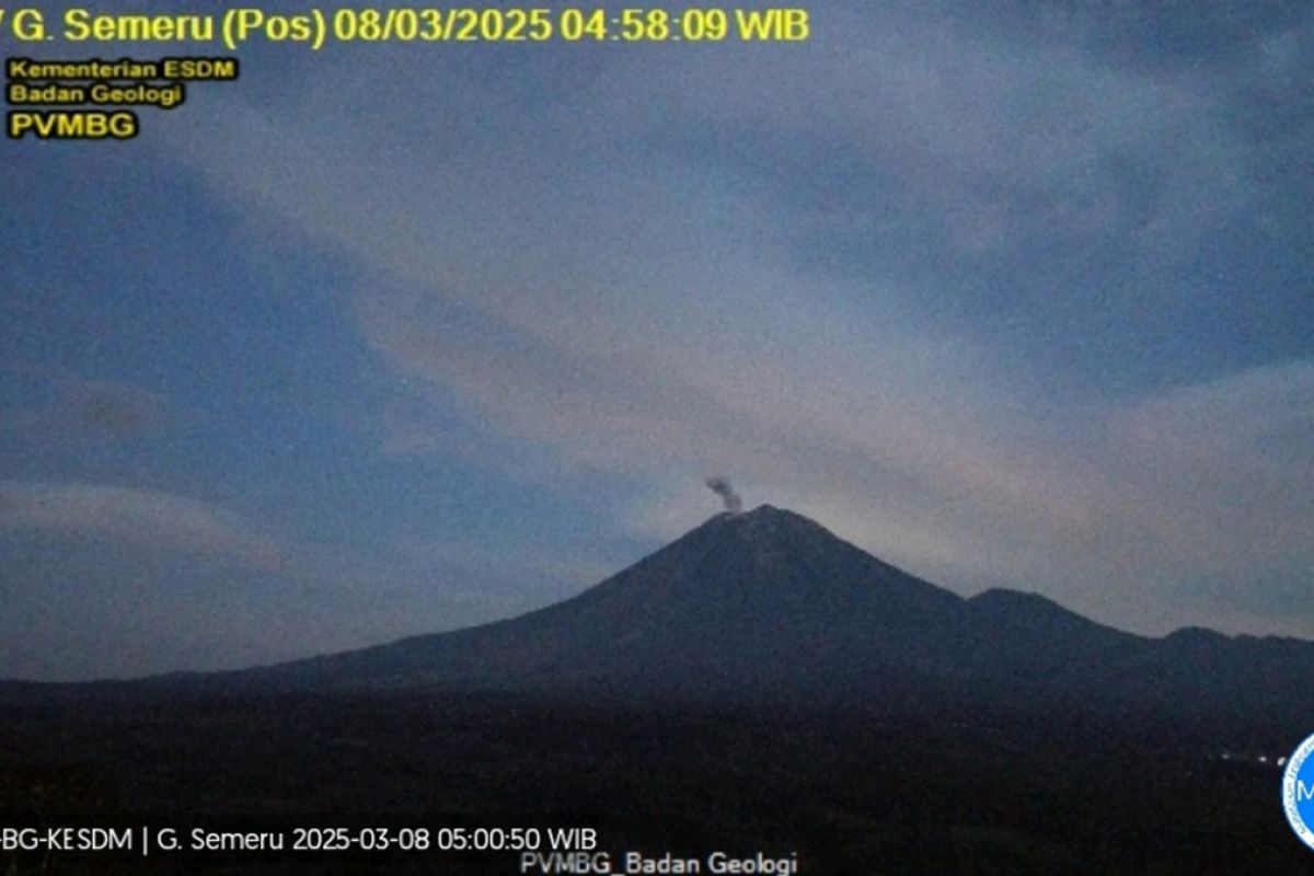 Semeru erupsi empat kali dengan tinggi letusan hingga 700 meter