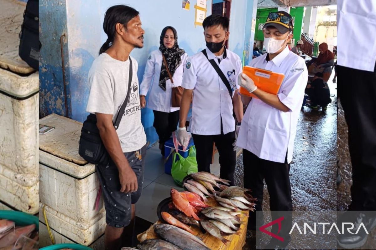 Badan Pengendalian dan Pengawasan Mutu KKP Maluku gencar awasi mutu perikanan pada Ramadhan
