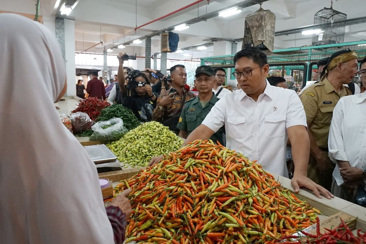 Wamentan ajak Pemda rutin sidak pasar jaga ketersediaan pangan