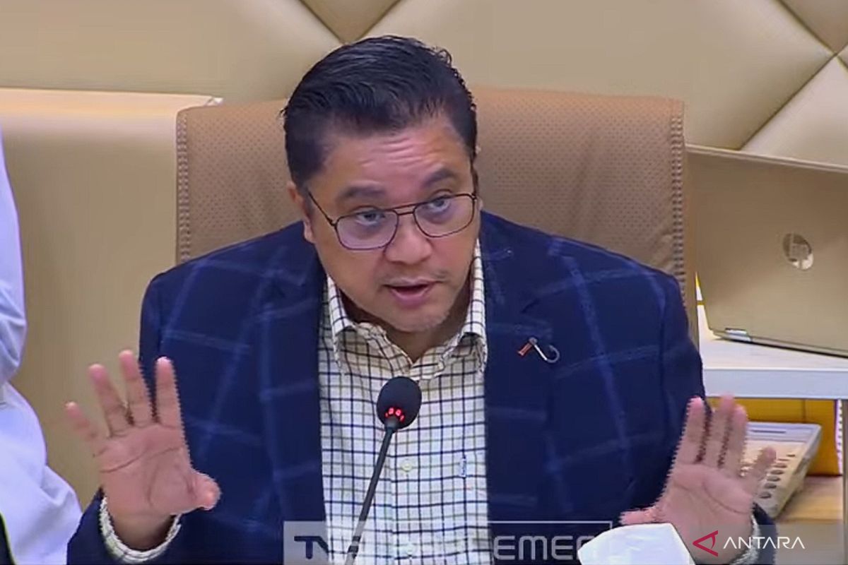 Komisi II DPR cek kesiapan anggaran PSU Pilkada 2024