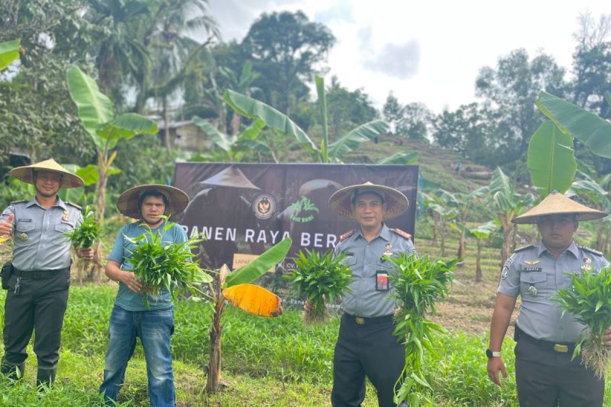 Lapas Tarakan Panen Raya Sayuran Dari Lahan SAE