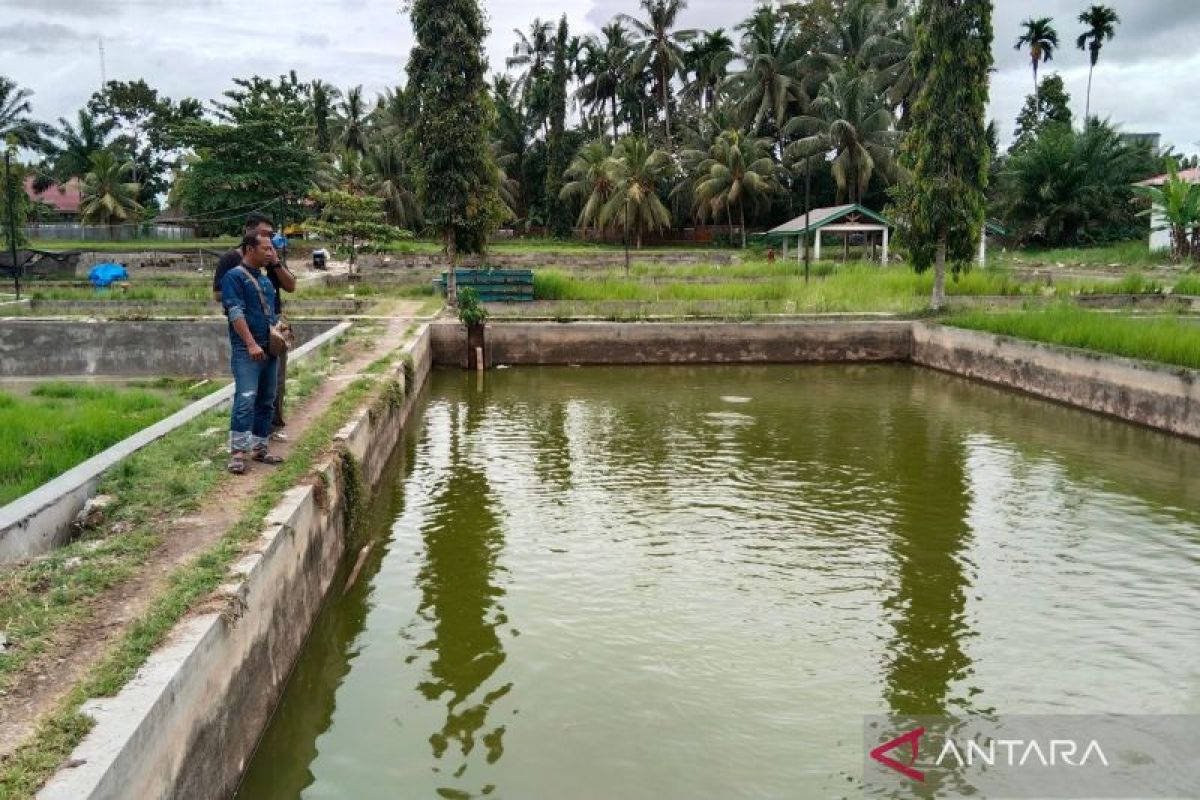 Mukomuko naikkan target produksi ikan air tawar