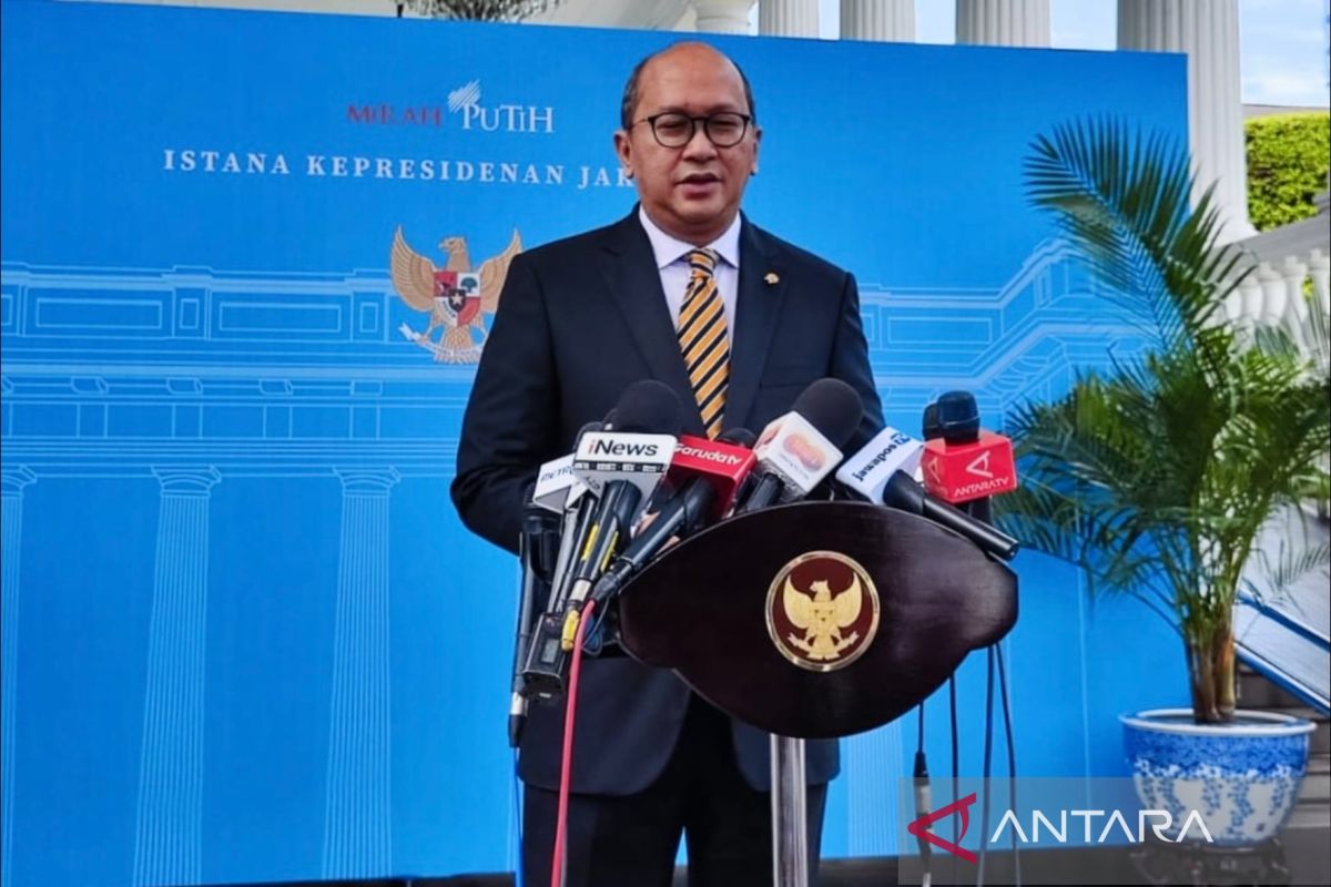 VinFast sampaikan ke Presiden ingin investasi bangun PLTS dan PLTB