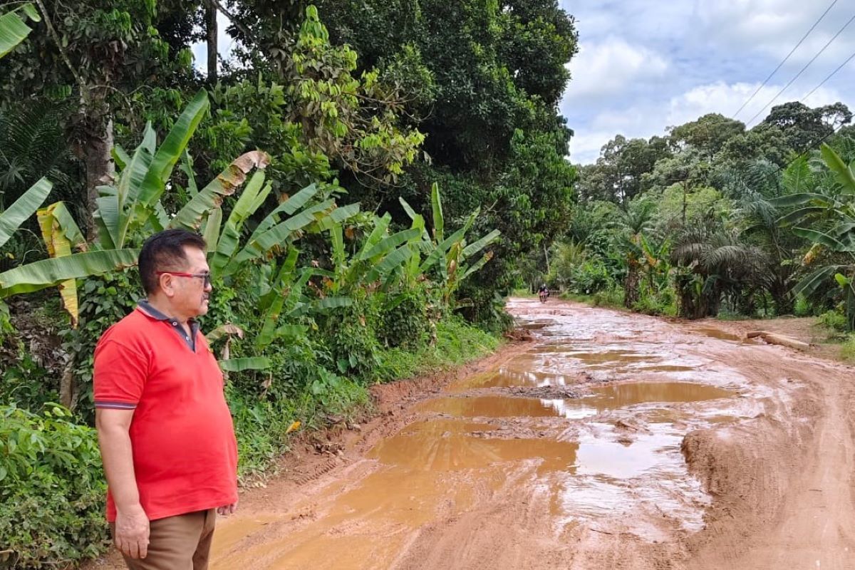 Ketua DPRD Provinsi Kalbar pantau jalan Rawak di Sekadau
