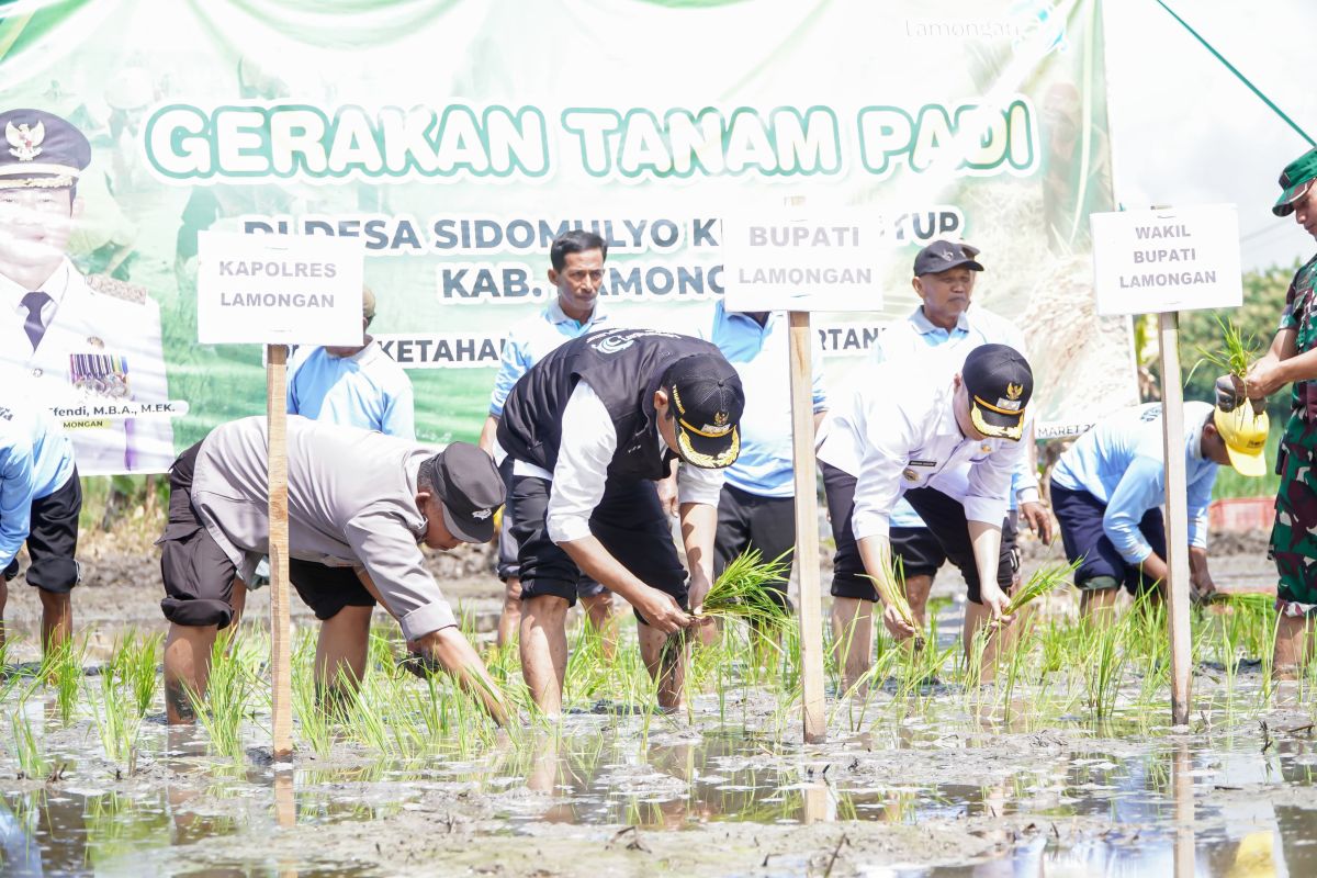 Pemkab Lamongan tanam padi musim kedua guna dukung swasembada pangan nasional