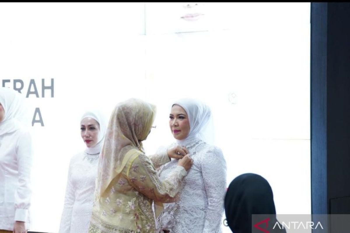 Ketua Dekranasda Sultra harap Dekranasda daerah mampu berinovasi