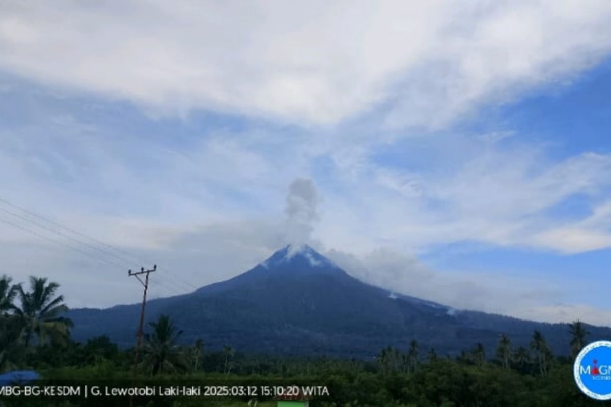 Gunung Lewotobi Laki-Laki di Flotim melontarkan abu setinggi 800 meter