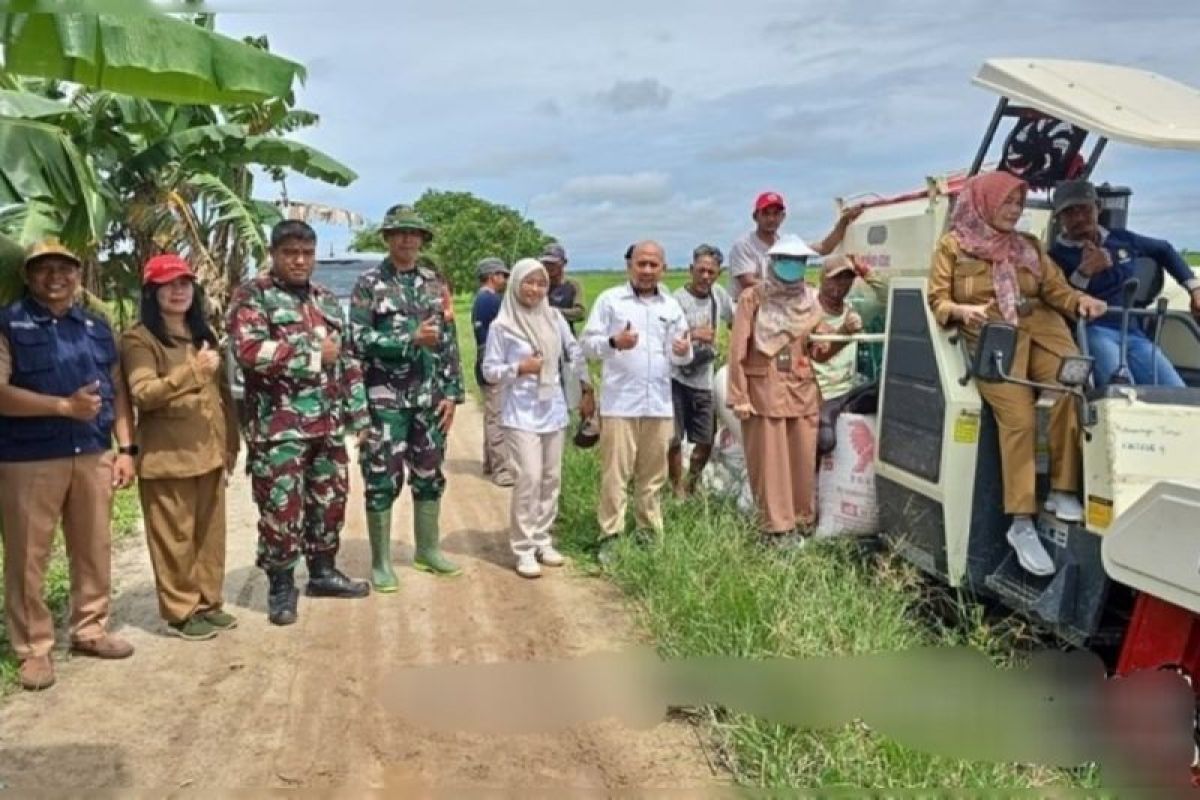 Penyerapan gabah perdana di Kotim capai 14,3 ton