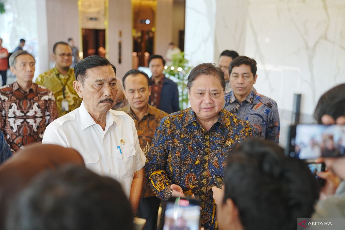 Indonesia keen to attract global investment, Hartarto says