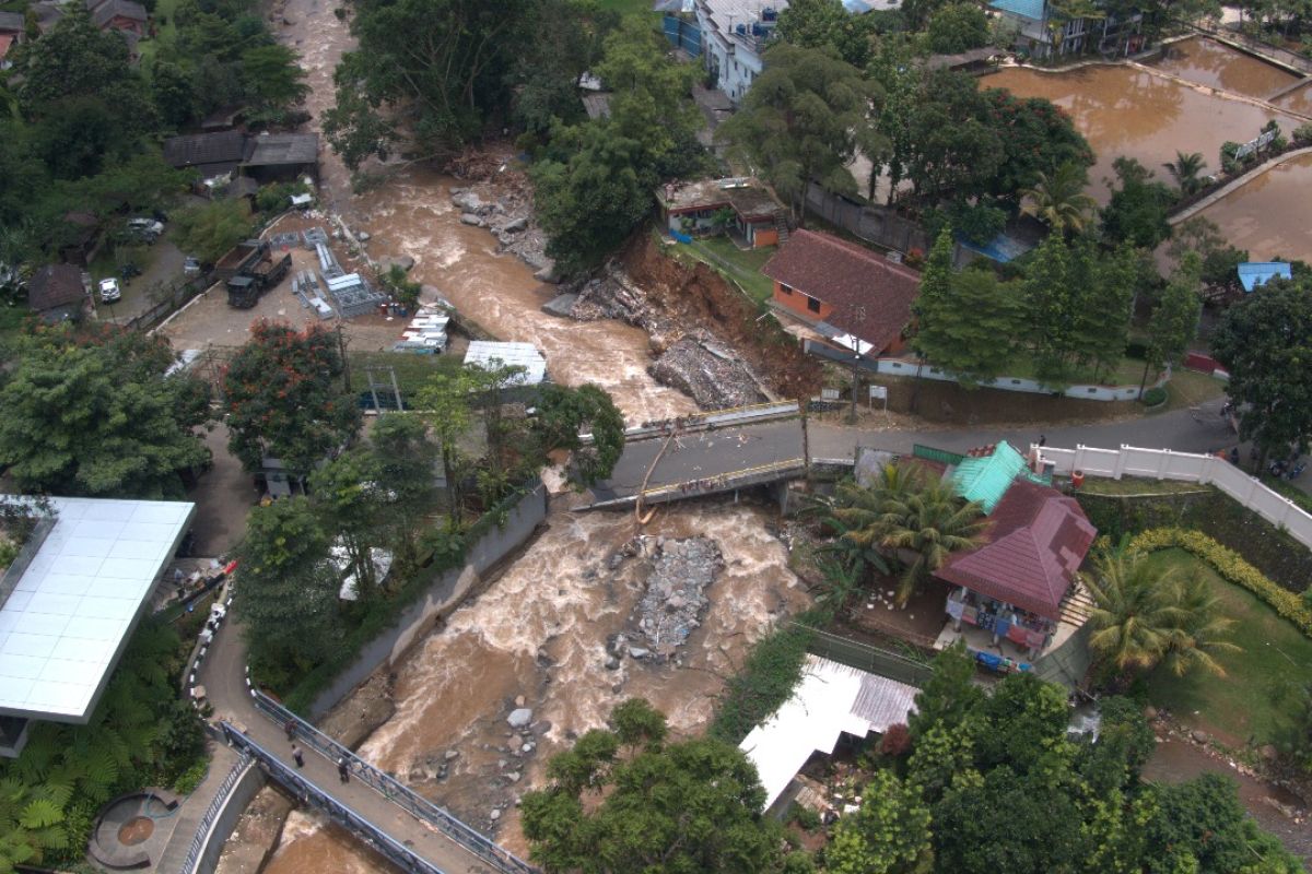 Forest Watch Indonesia: Jabodetabek butuh ekosistem hutan sebagai penyangga