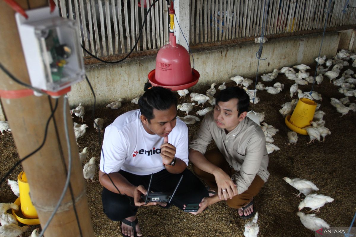 Dosen universitas mengembangkan sistem kandang ayam berbasis IoT