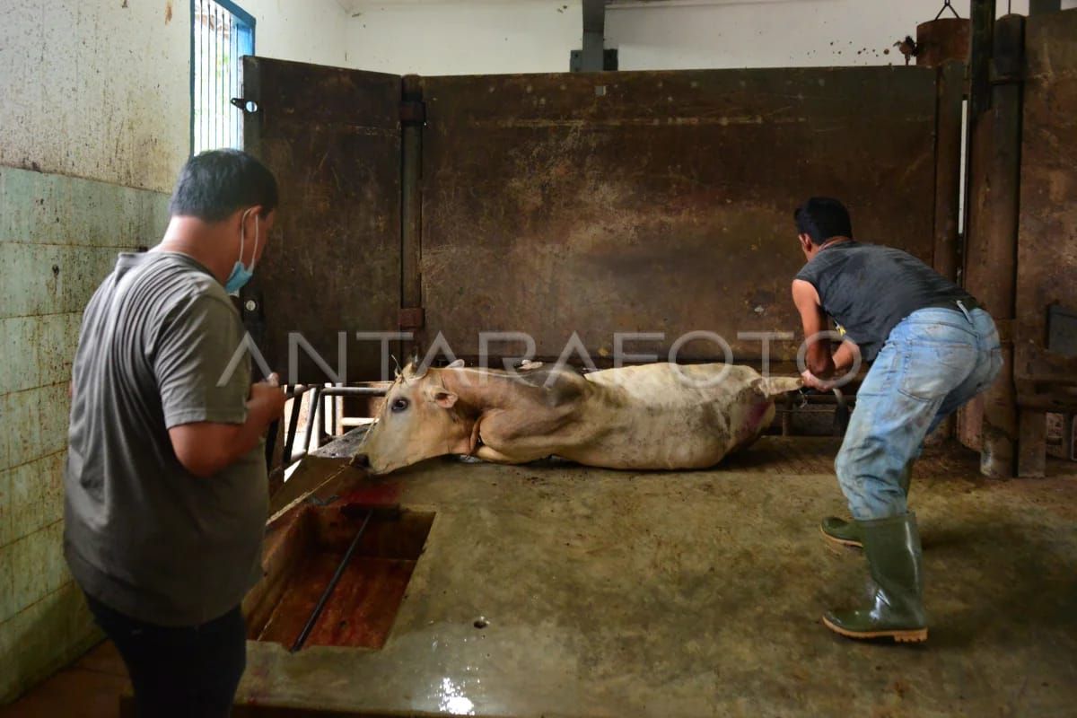 Pemprov dukung penuh upaya MPU untuk sertifikasi halal RPH di Aceh