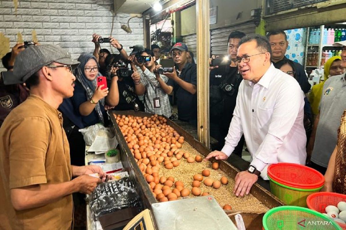 Mendag Budi Santoso sebut Stok dan harga pangan di Pasar Ciracas Jakarta stabil