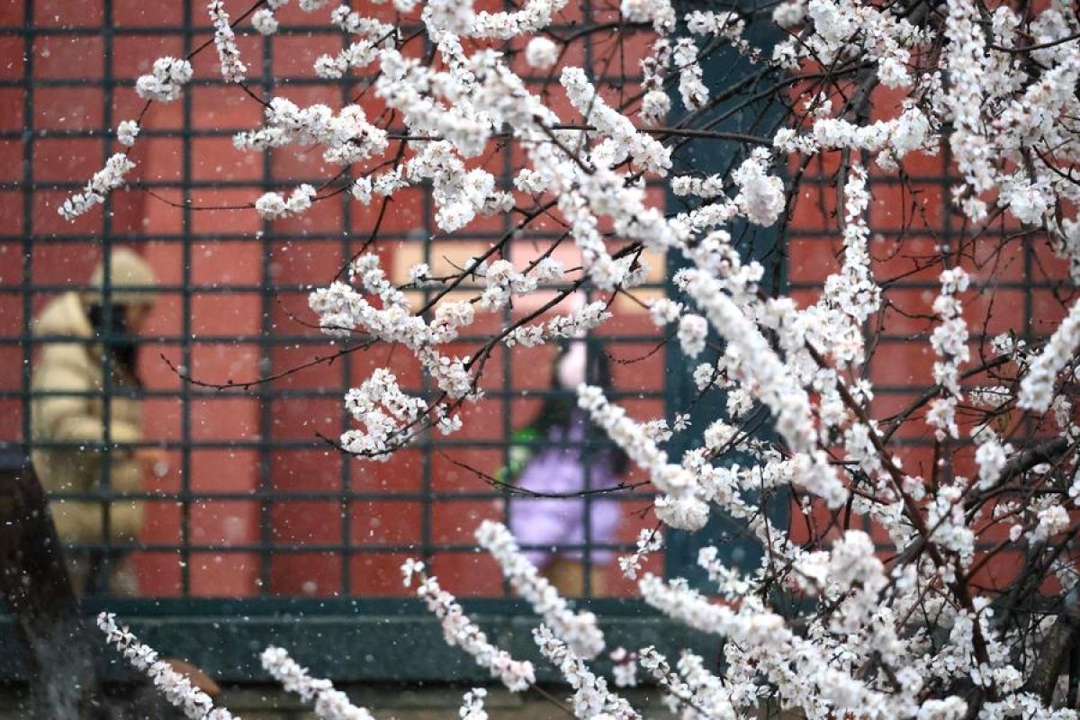 Dilanda dingin dan hujan salju, Beijing perpanjang pemakaian pemanas