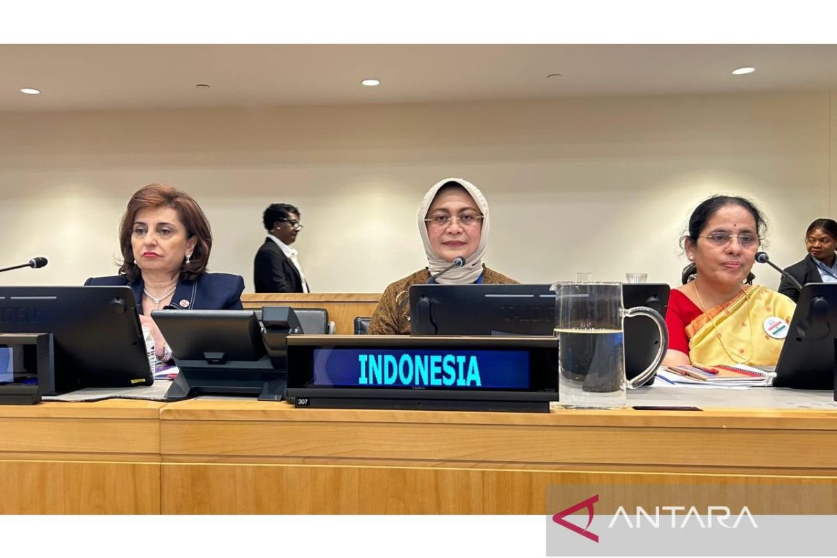 Indonesia shares best practices at 69th CSW