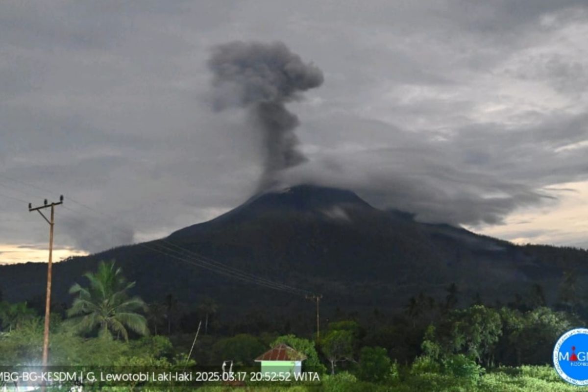 Gunung Lewotobi Laki-laki melontarkan abu setinggi 1.200 meter