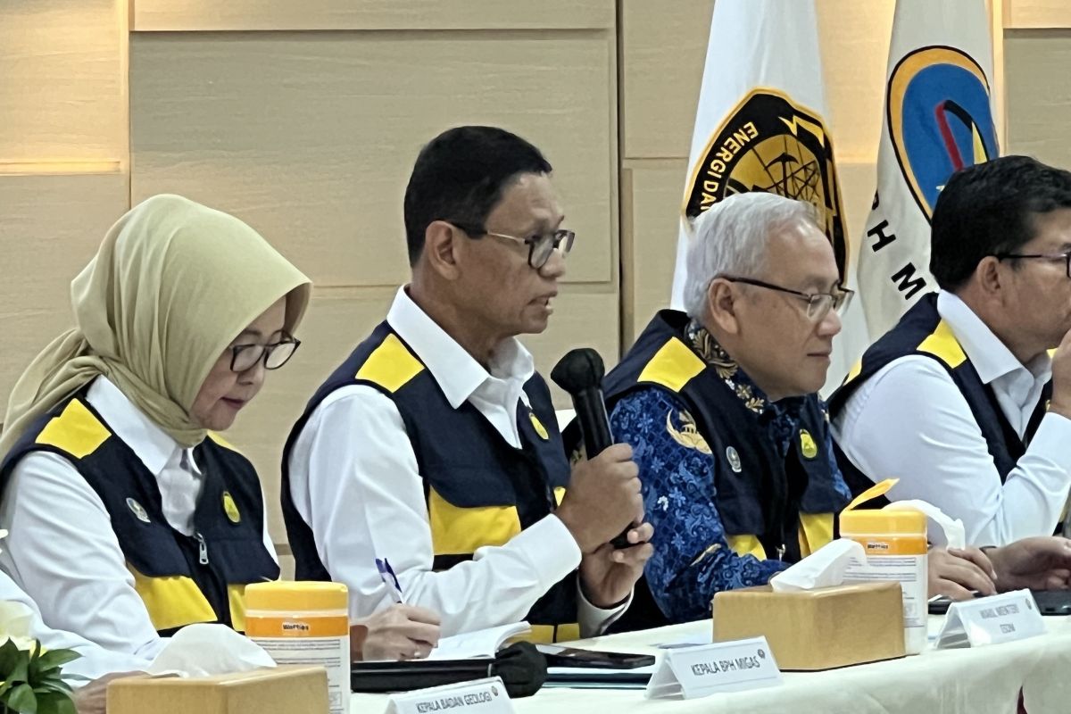 Wamen ESDM soroti tantangan ketersediaan energi di jalur mudik