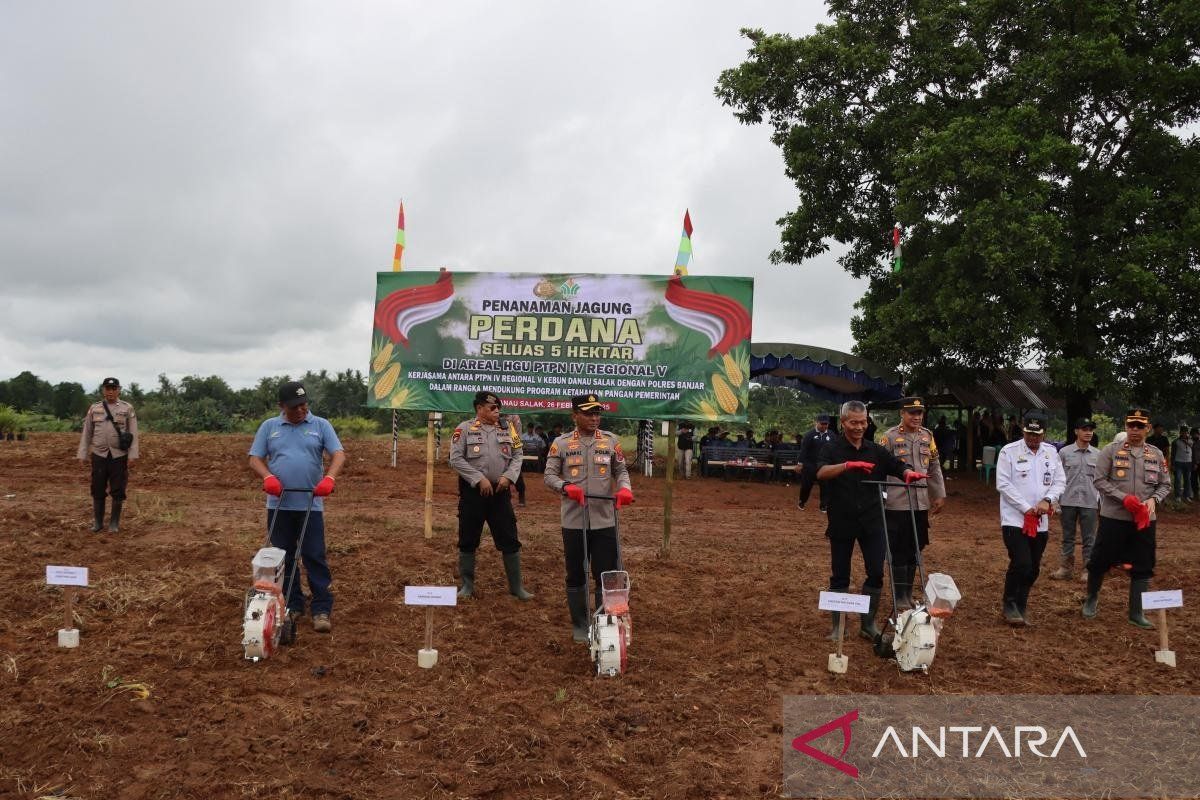 Kolaborasi dengan Polri, PalmCo optimalkan lahan replanting sawit untuk tanam jagung