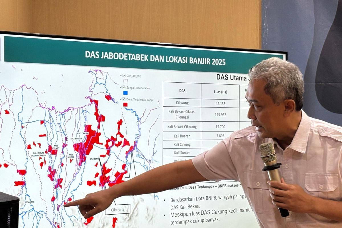 Faktor banjir, KLH sebut tutupan vegetasi DAS Bekasi hanya 3,35 persen