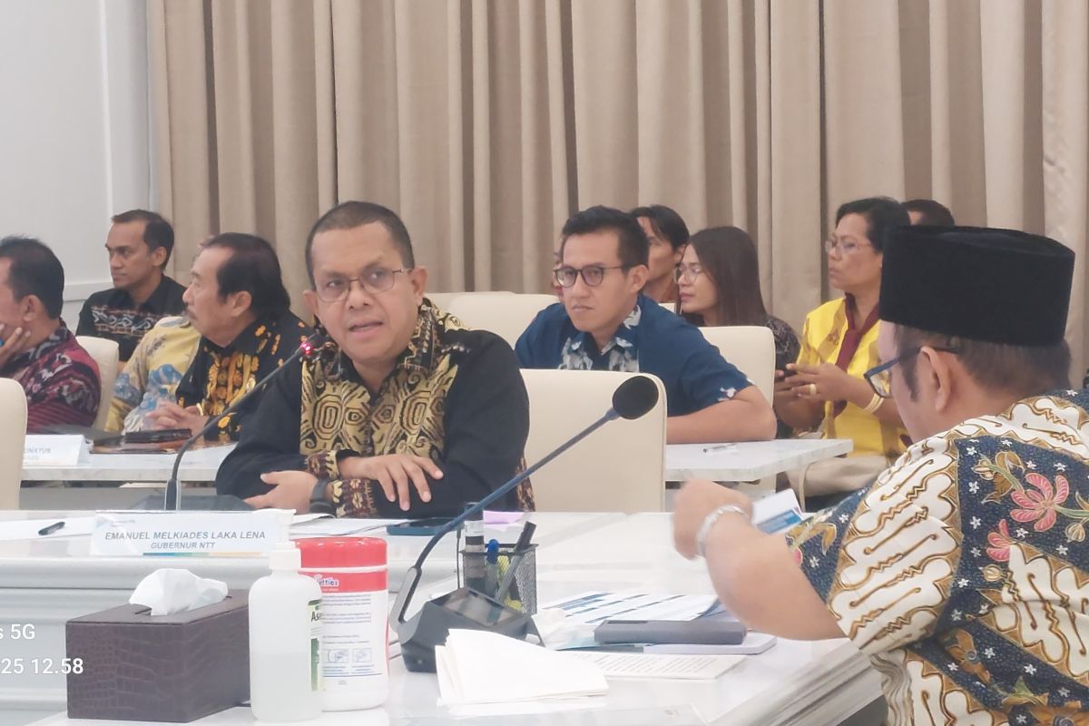 Bappenas Penting NTT jadi pusat industri garam nasional