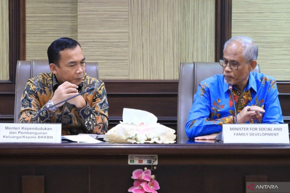 Respect Indonesians pursuing careers overseas: govt