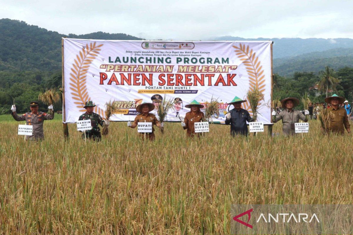 Pemkab Kuningan menggulirkan empat program prioritas sektor pertanian
