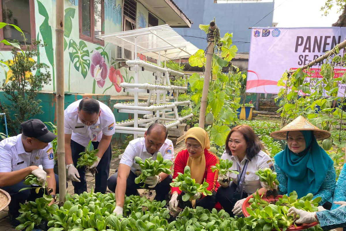 Jakbar panen ratusan kilogram ikan dan sayuran di 30 lokasi
