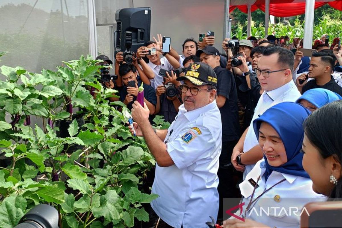 Pemprov DKI panen serentak 20 ton cabai hingga ikan di 266 titik