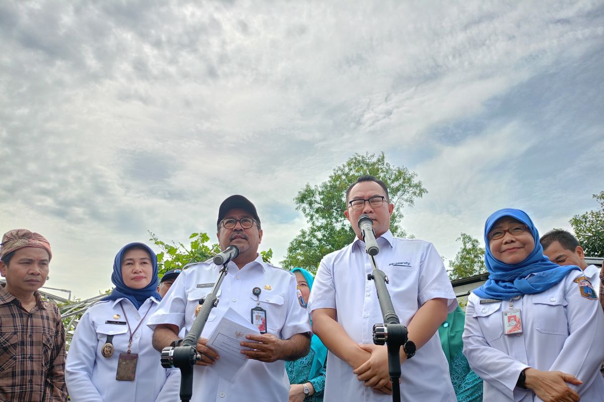 Pemkot di DKI diminta siapkan tanaman pengganti beras