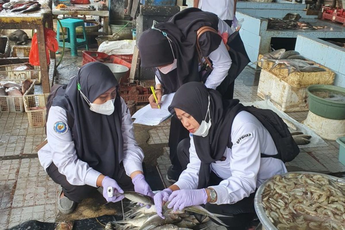 BPPMHKP Surabaya I pantau kualitas ikan jelang Lebaran