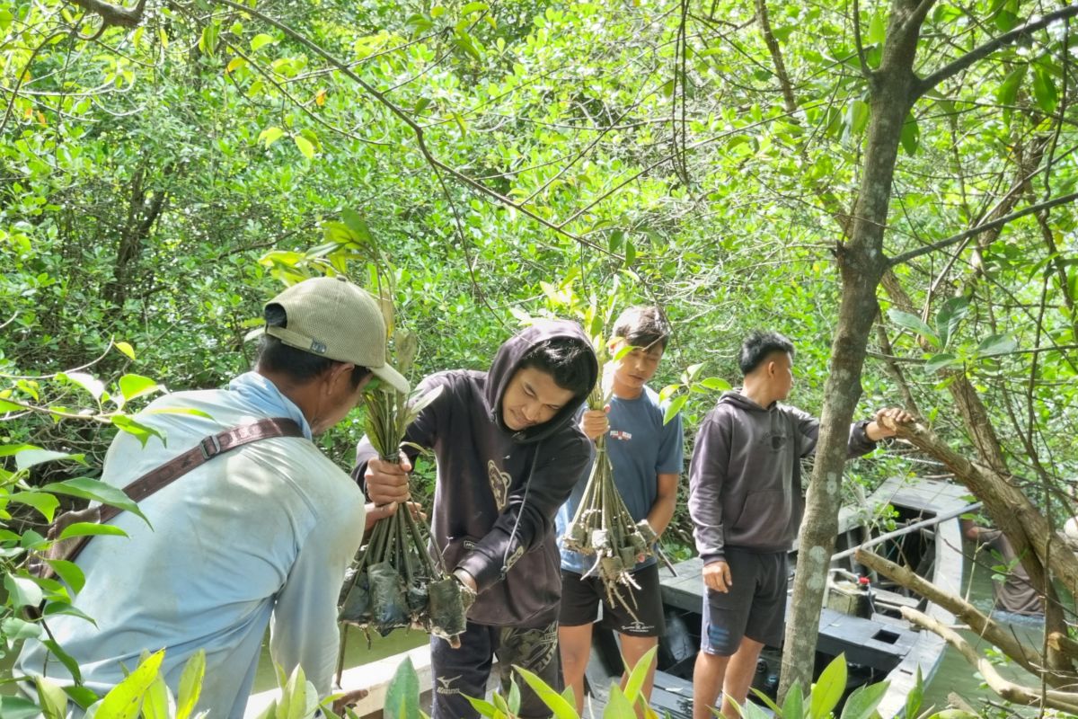 BRGM Indonesia mengembalikan 1,6 juta hektar lahan gambut, 84 ribu mangrove