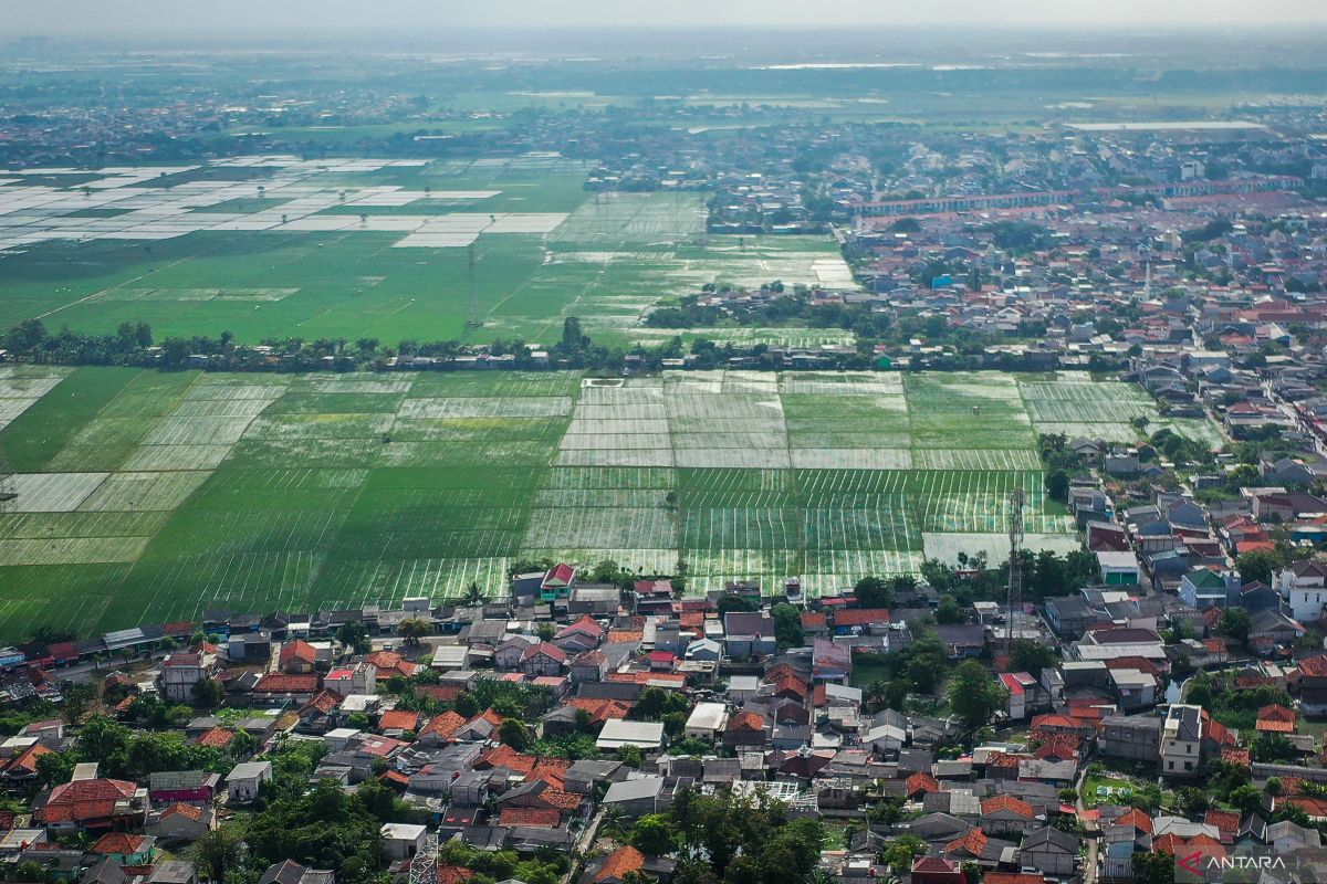 Bulog Jakarta dan Banten optimalkan penyerapan beras