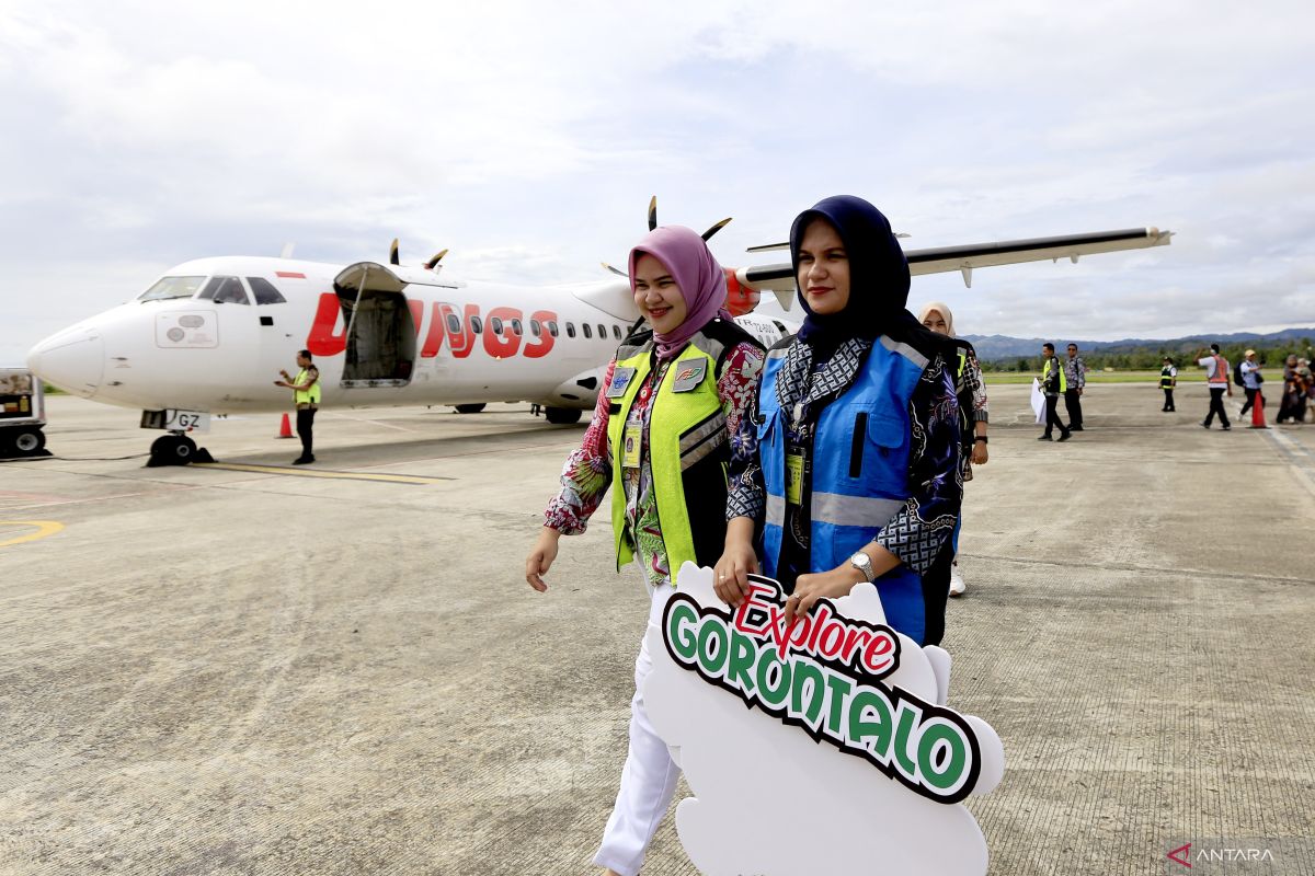 Kemenhub sosialisasikan penurunan harga tiket pesawat di libur sekolah