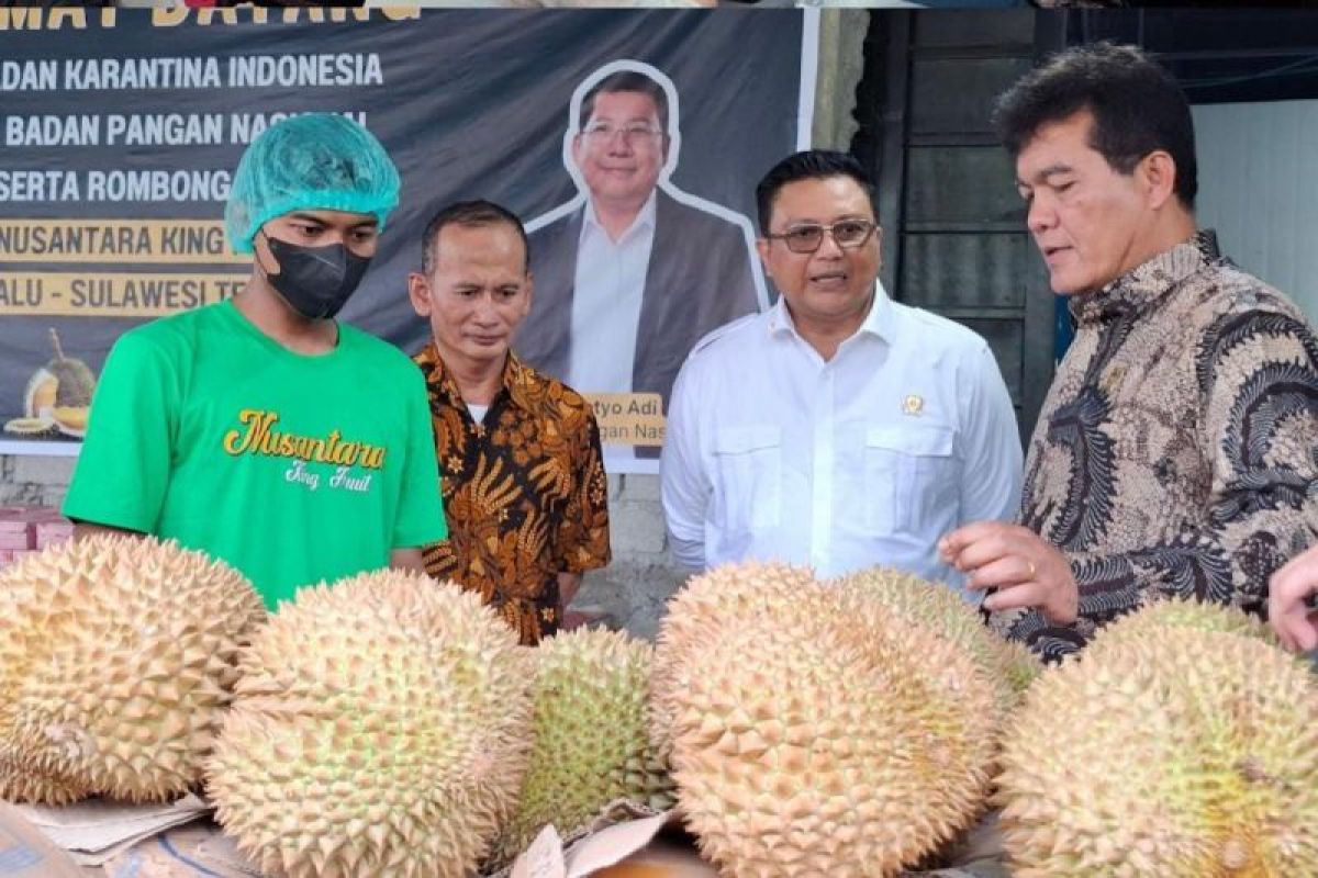 Bapanas dukung ekspor durian ke China lewat pengawalan keamanan mutu -  ANTARA News