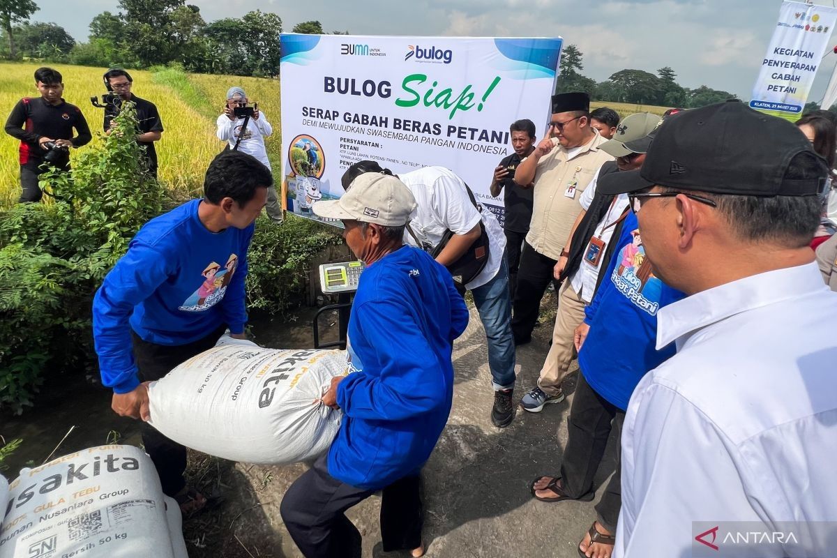 Perum Bulog libatkan TNI-Polri kawal penyerapan gabah sesuai HPP Rp6.500/kg