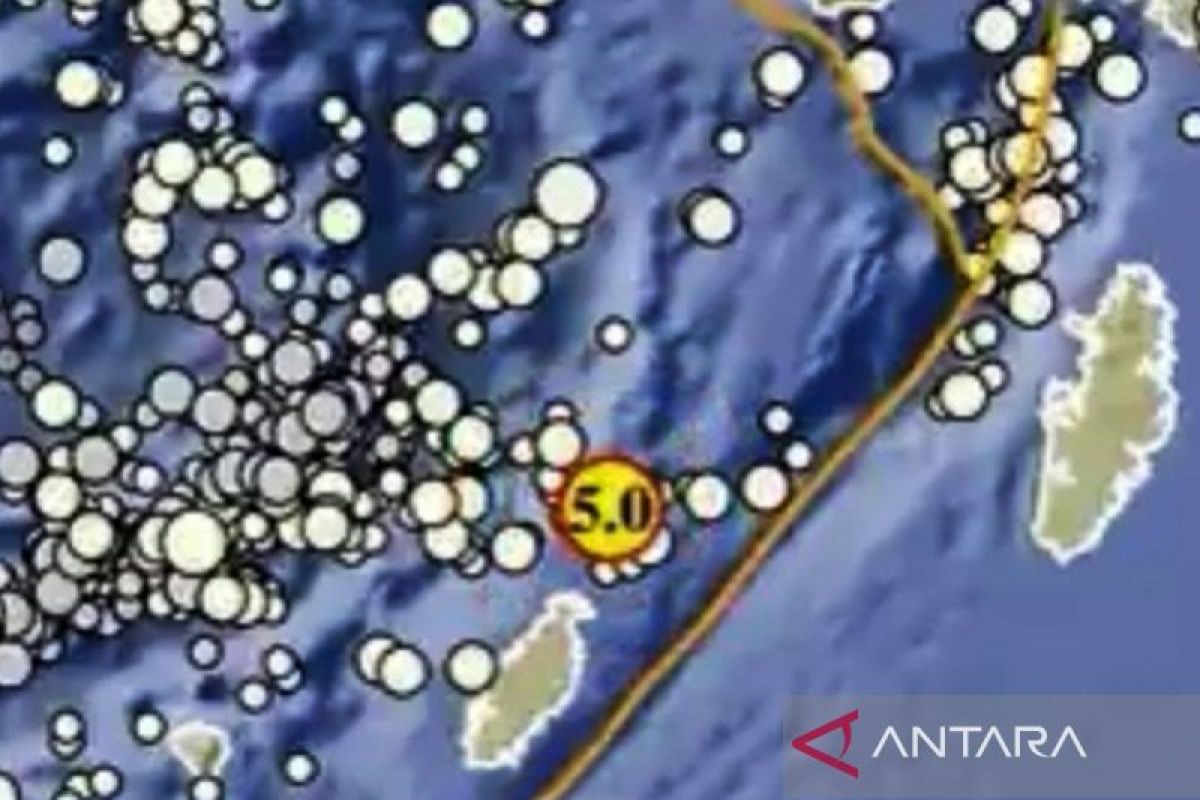 BMKG : Gempa dengan Magnitude 5,0 guncang Maluku Jumat dinihari
