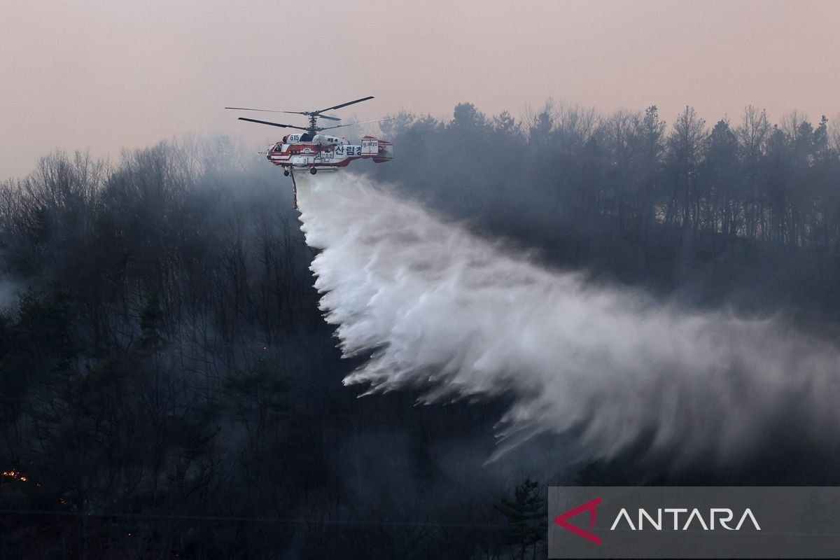 Otoritas Korsel kerahkan helikopter untuk padamkan kebakaran hutan di Sancheong