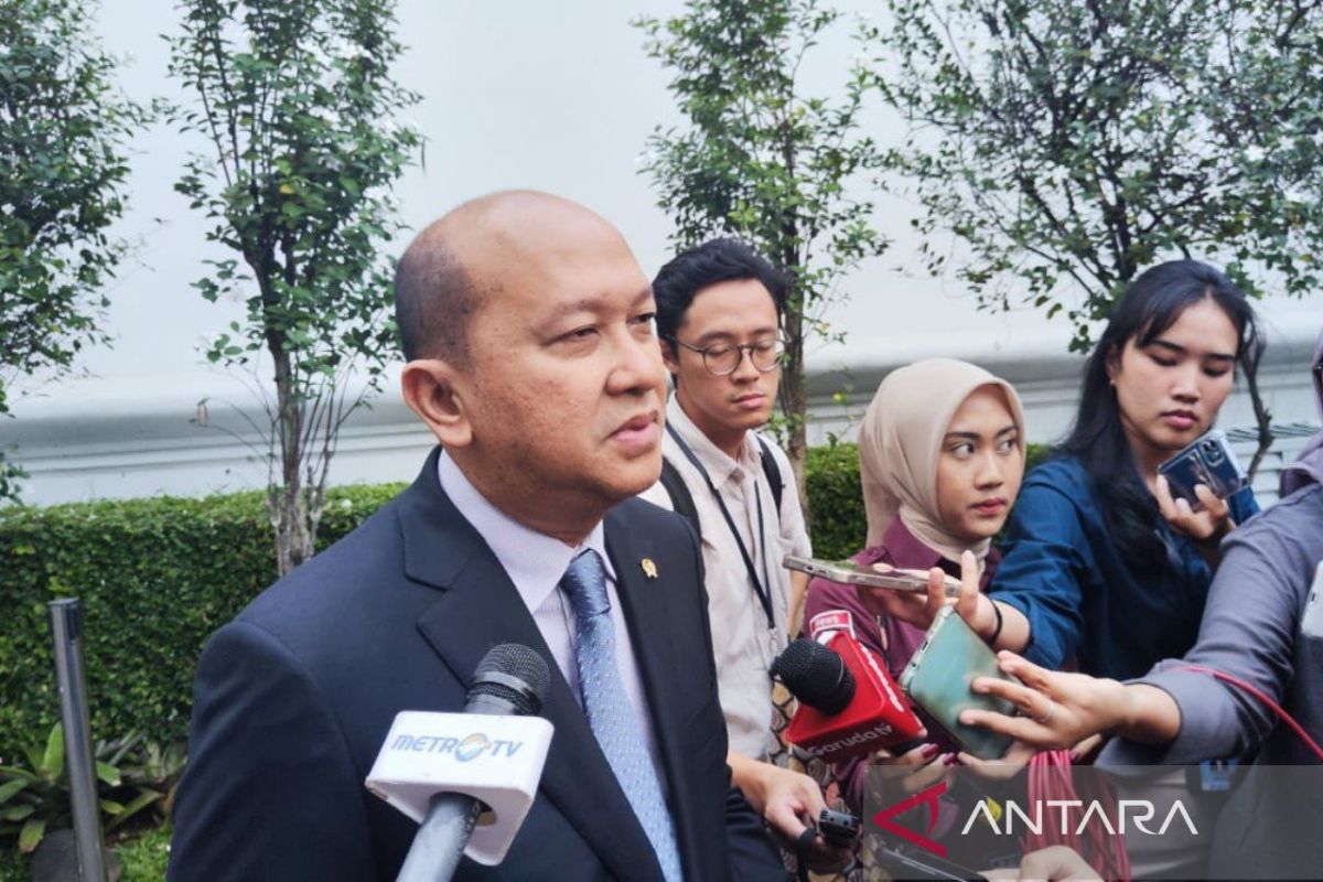 Pemerintah RI menyatakan NDB tertarik untuk mendanai proyek energi terbarukan dan infrastruktur