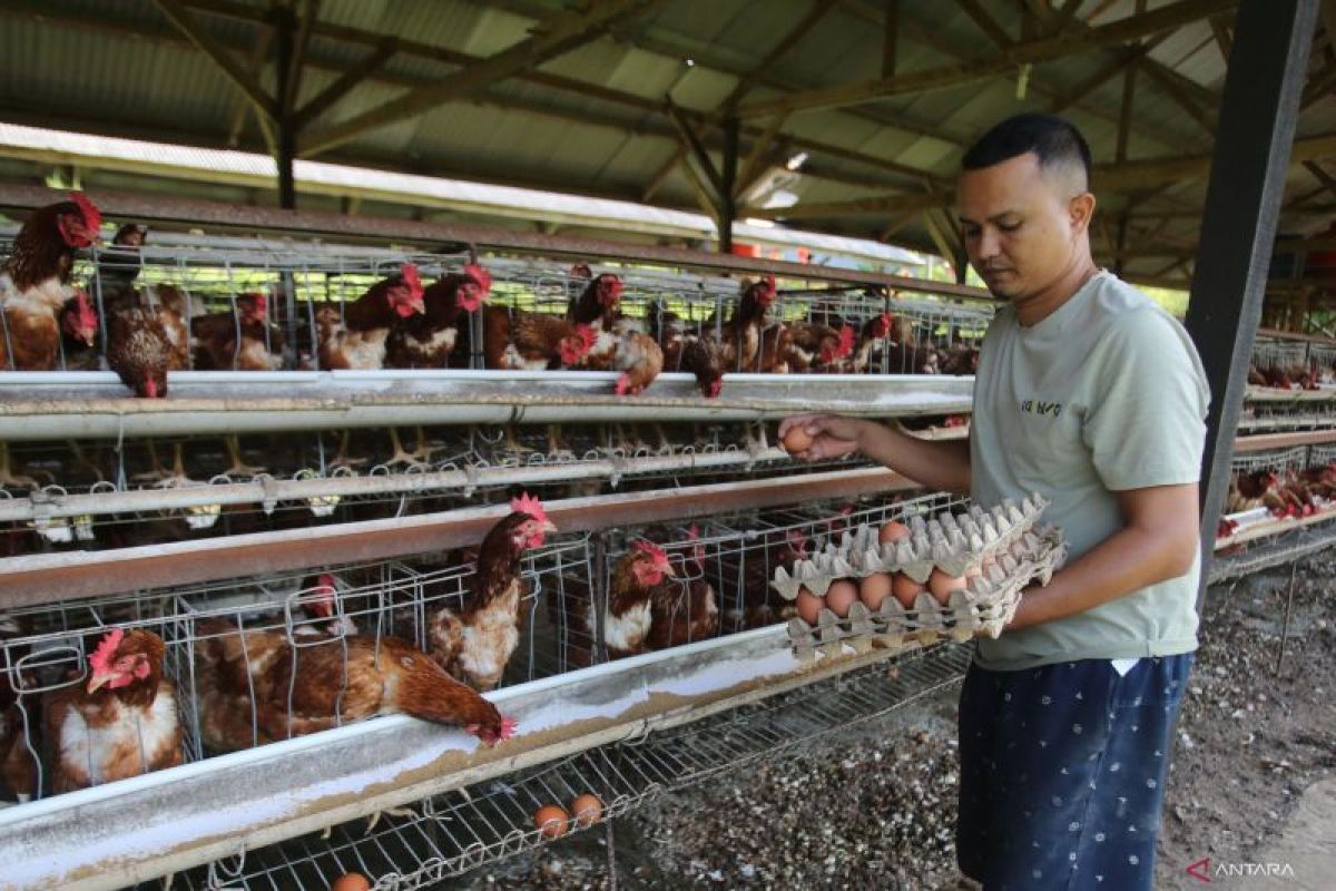 Indonesia's agriculture downstreaming program to create 8 million jobs