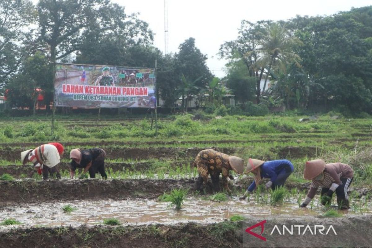 Percepat program LTT padi, Pemkab Kuningan gandeng TNI