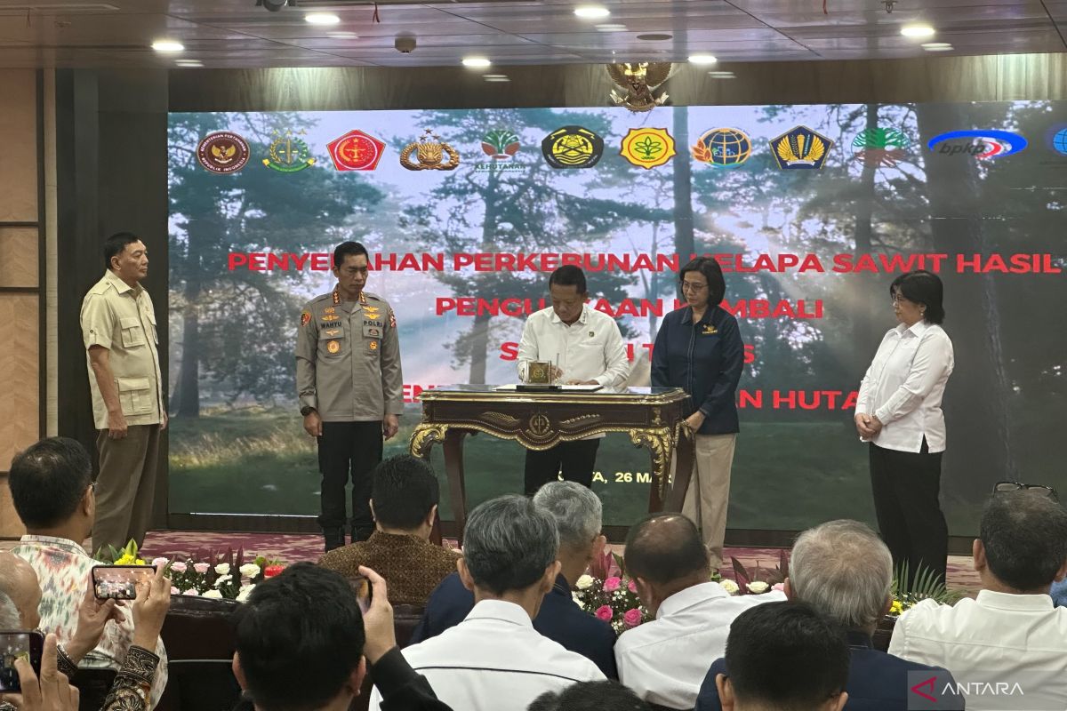 Satgas PKH serahkan pengelolaan 216 ribu hektare kawasan hutan ke BUMN