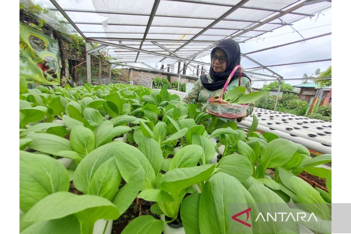 Menilik Kampung Jimpitan wajah nyata kebersamaan dan kemandirian warga