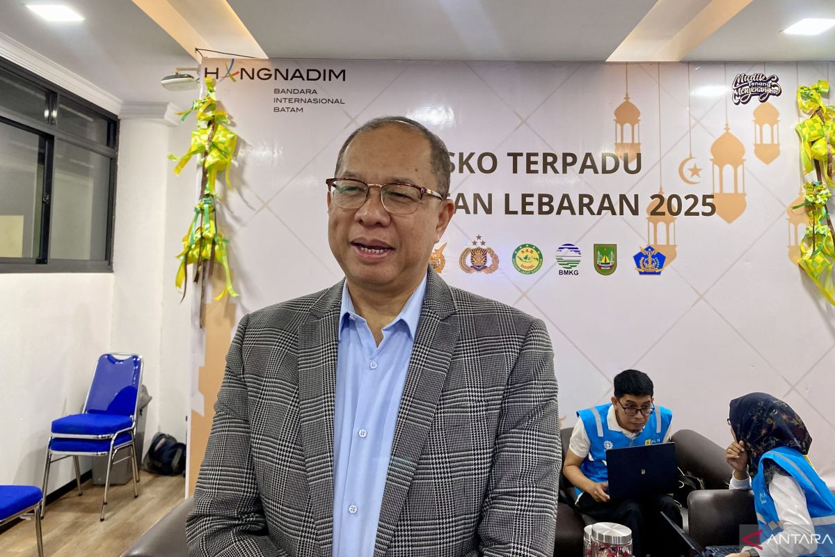 Bandara Hang Nadim Batam catat tren peningkatan penerbangan dan pemudik