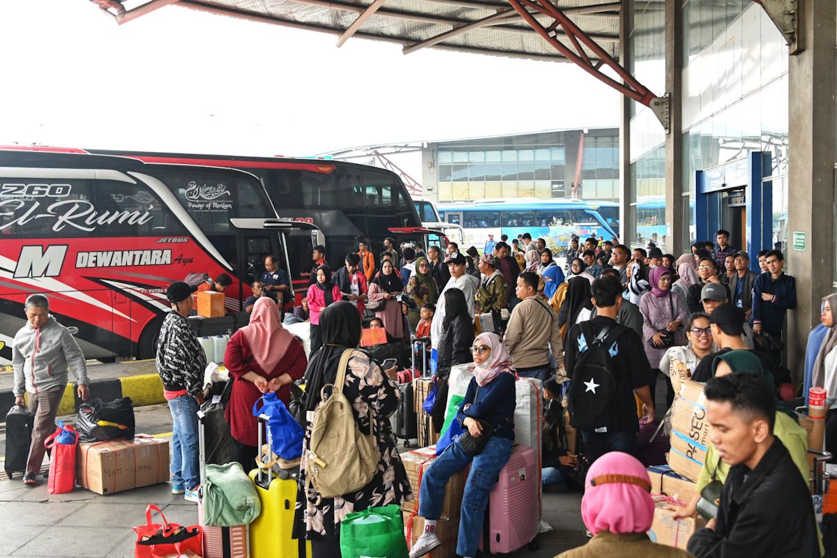 Jumlah penumpang angkutan bus meningkat signifikan