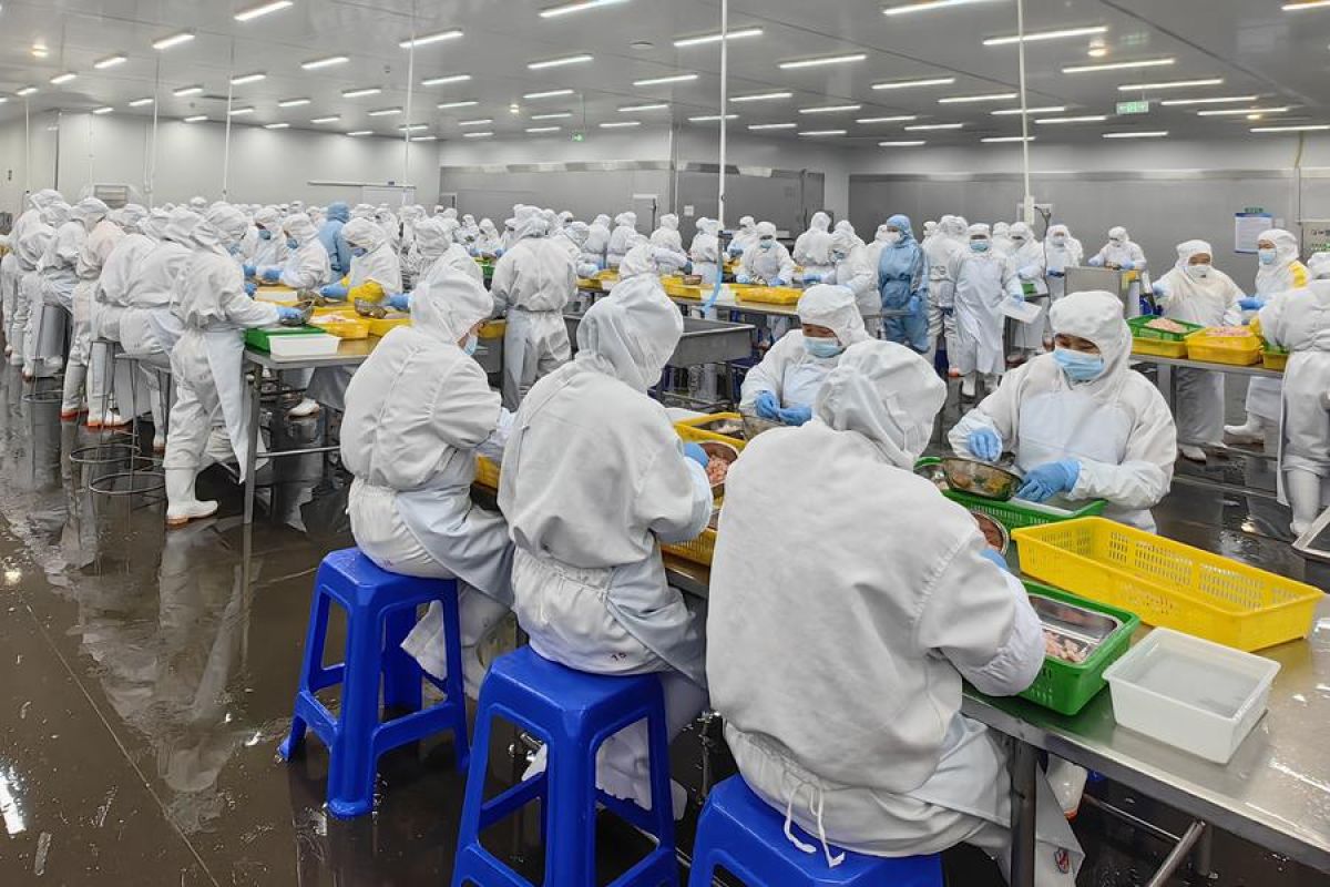 Pabrik di pegunungan China olah makanan hasil laut untuk pasar global