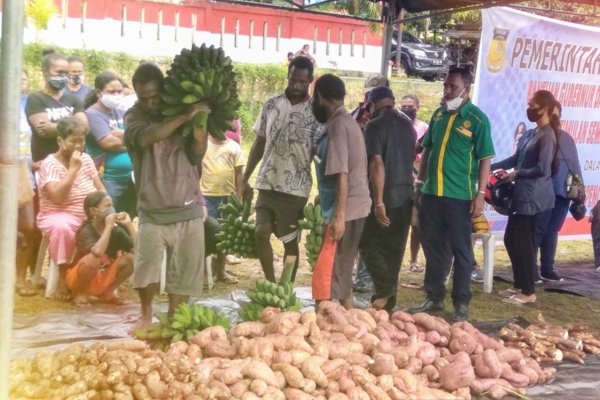 Pakar: Otonomi dan tata kelola penting dalam Kopdes Merah Putih