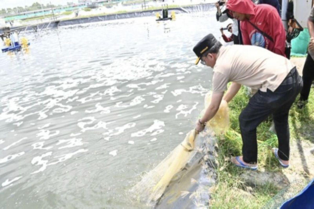 Gubernur Kalteng siapkan Shrimp Estate Berkah sebagai kawasan ekonomi produktif