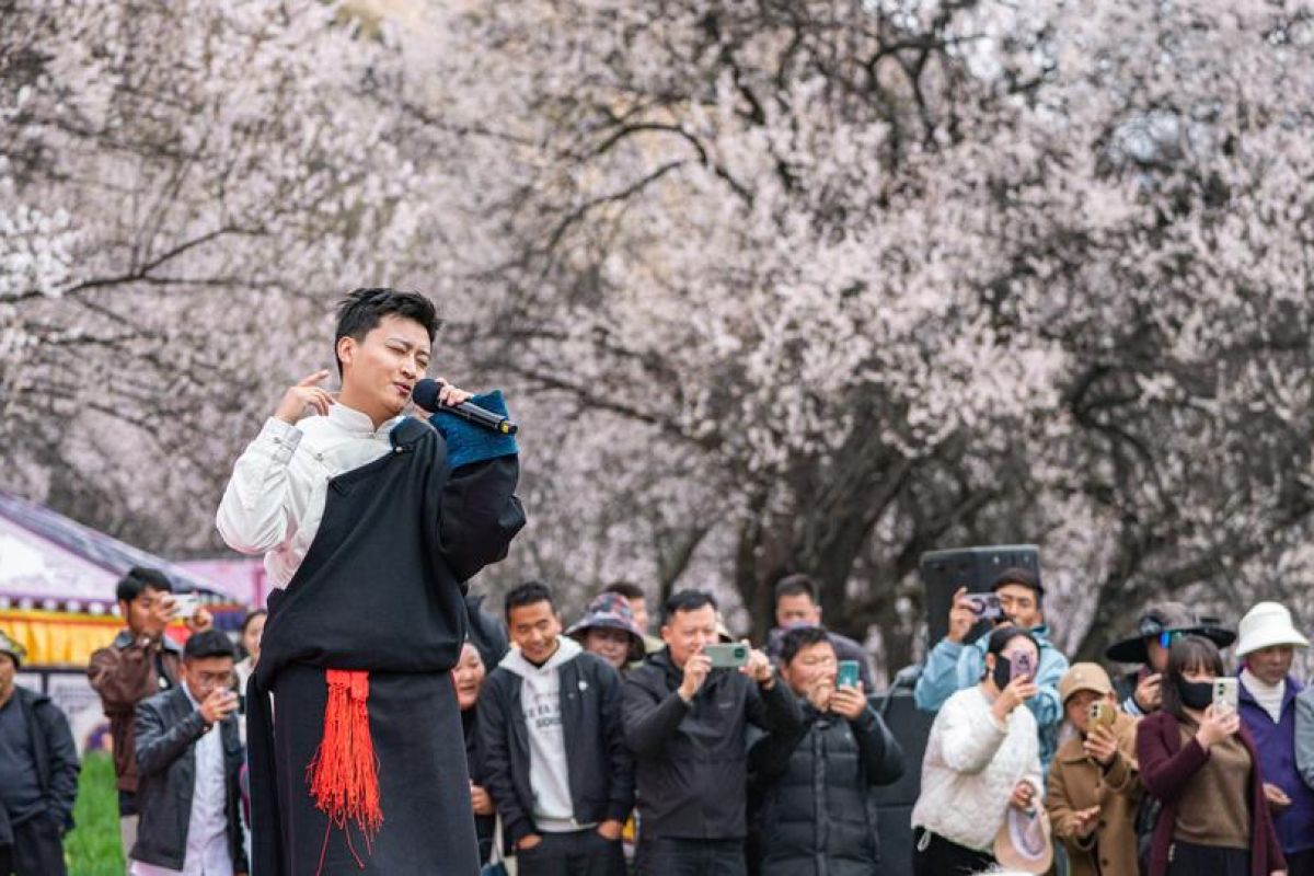 Festival budaya dan wisata bunga Persik dirayakan di Nyingchi, China