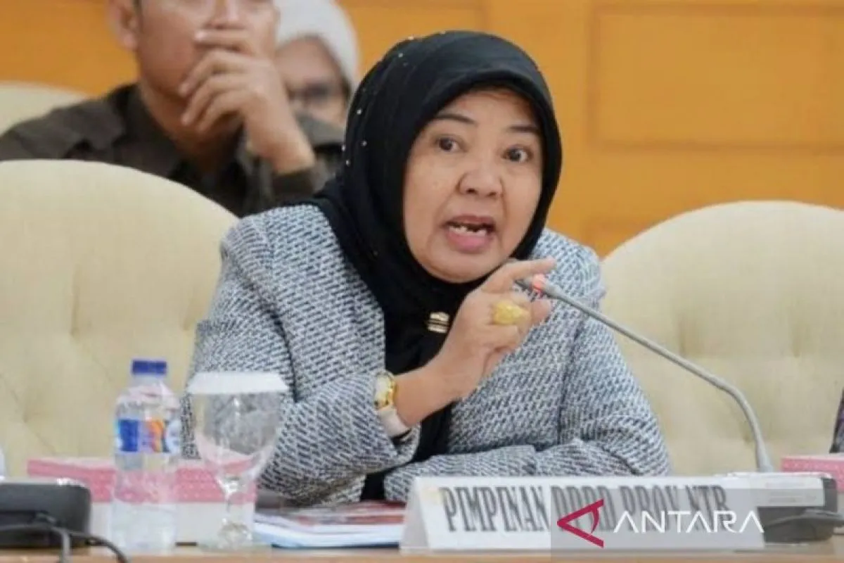 Ketua DPRD NTB tekankan tim percepatan diisi orang-orang profesional