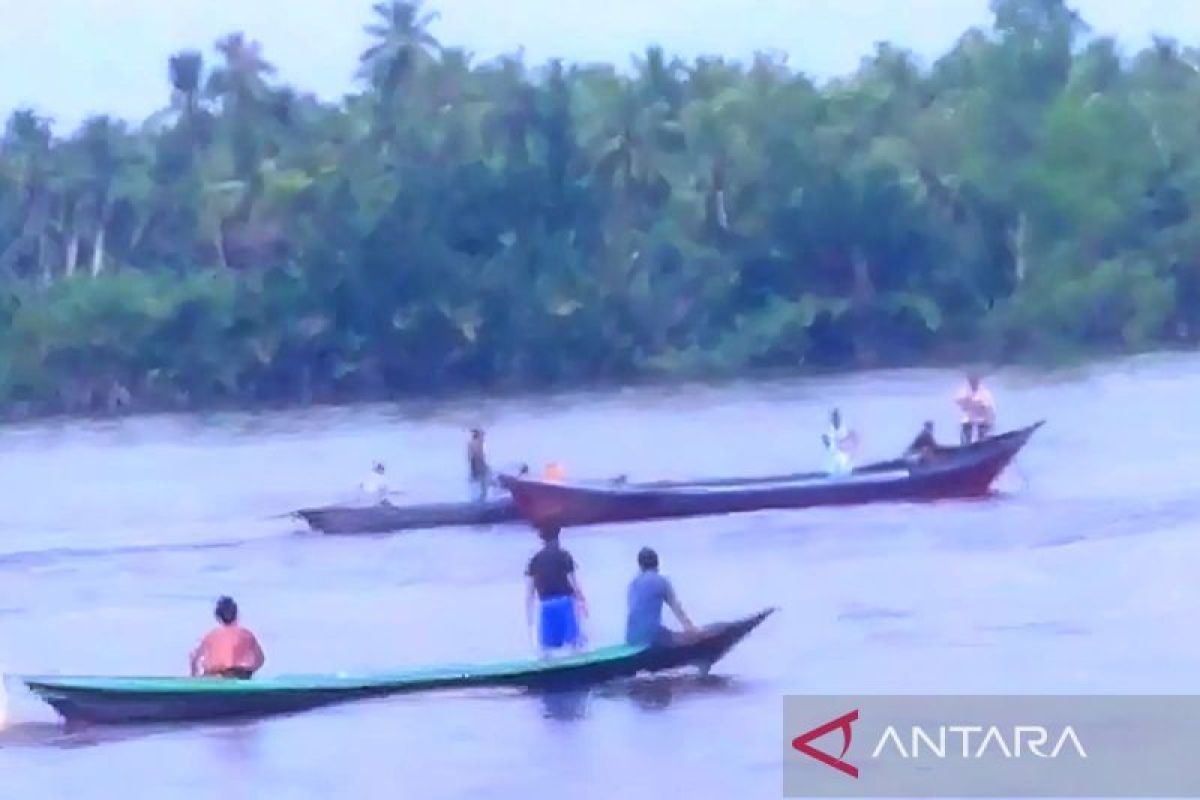 Seorang warga diserang buaya saat mandi di Desa Hanaut